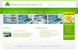 青岛网景 做客户信赖的企业，专业打造美工模板与网站建设